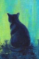 Cat watching the world