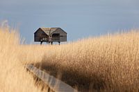 Kiekkaaste, Nordost-Groningen.