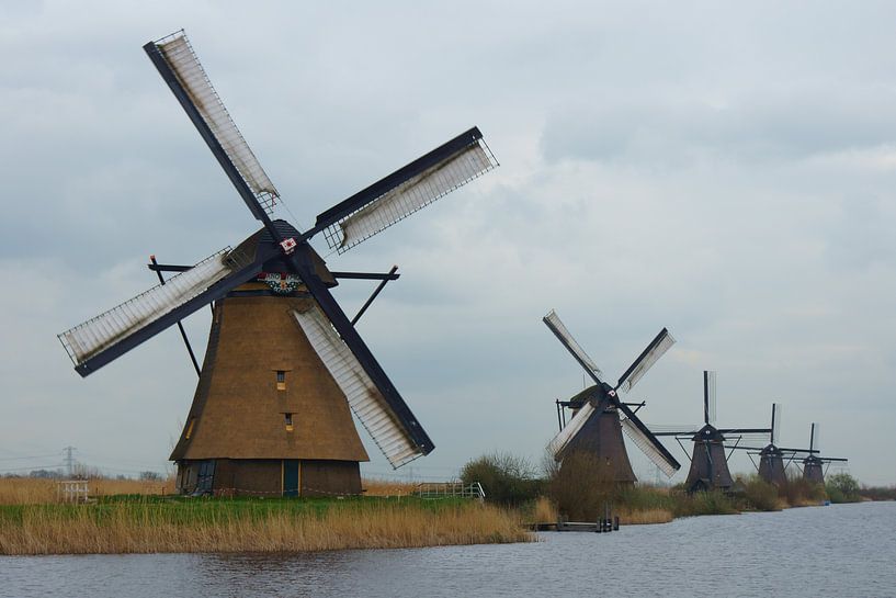 Kinderdijk par Michel van Kooten
