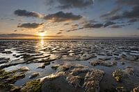 Relief in the mudflats