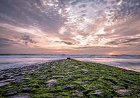 Wellenbrecher Schoorl