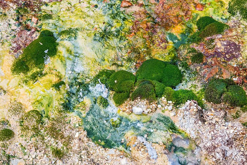 Krýsuvík details by Danny Slijfer Natuurfotografie