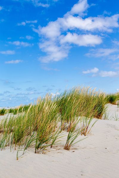 Les dunes à Juist par Dirk Rüter
