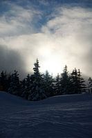Sonnenuntergang vom Skijuwel Alpbachtal-Wildschönau mit verschneiten Bäumen (Tirol, Österreich)