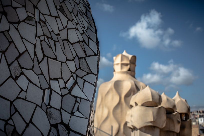 Barcelona by Eric van Nieuwland