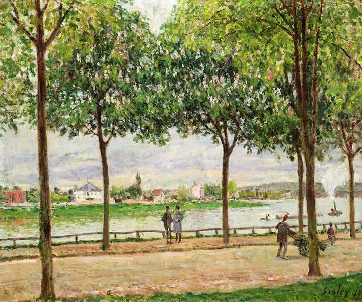 Alfred Sisley,Kastanienbaum-Spaziergang von finemasterpiece