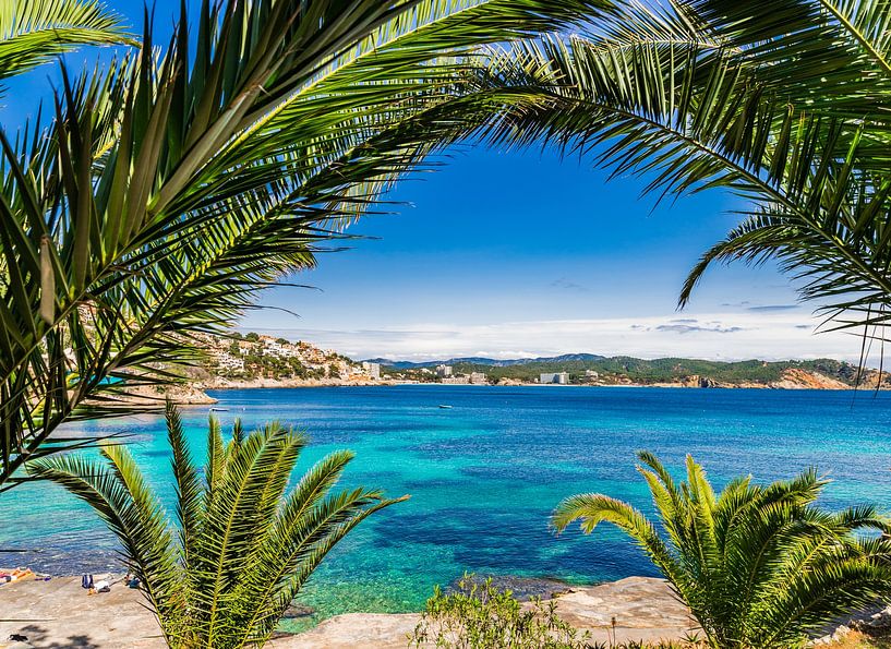 Vue idyllique du bord de mer à Cala Fornells, plage de la baie de Majorque, Espagne Mer Méditerranée par Alex Winter