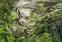 L'art dans la nature 3