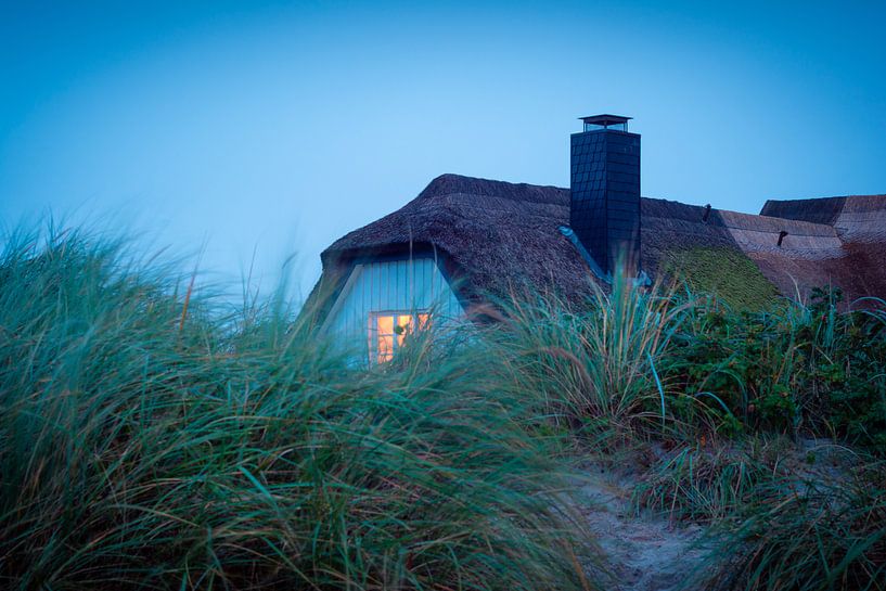House in the dune by Martin Wasilewski