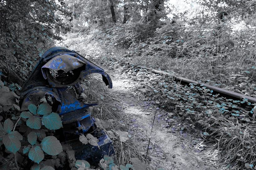 Lonneker Eisenbahndenkmal, Twente von Framed by Elisabeth