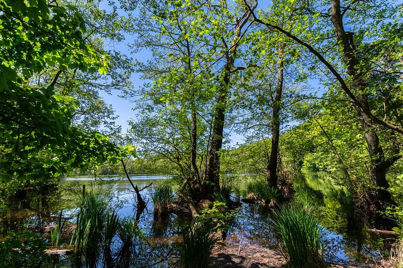 Herthasee, Nationalpark Jasmund, Insel Rügen von GH Foto & Artdesign
