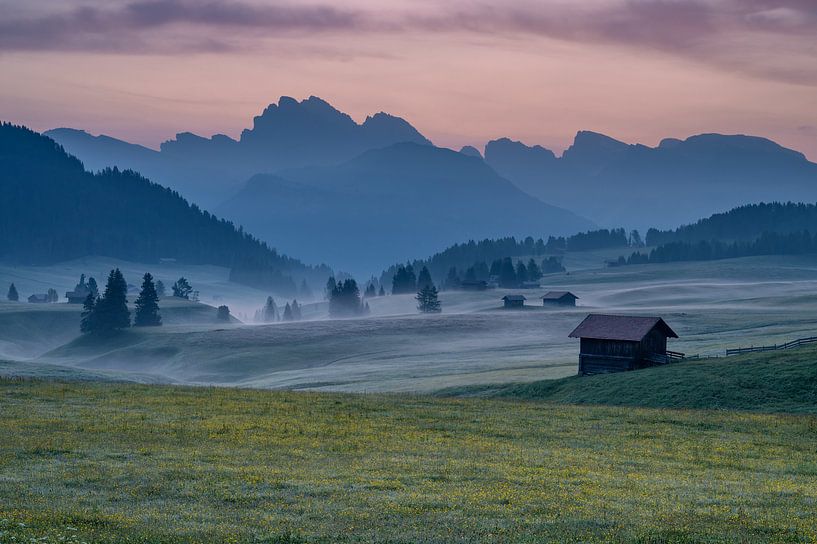 Quand le jour commence par Petra Leusmann