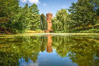 In search of happiness in Kronenburgerpark