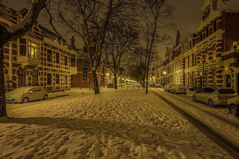 Soirée d'hiver à Kralingen par Leon Okkenburg