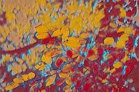 Peinture numérique de feuilles