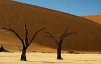 Sossusvlei 