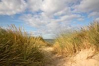 Aussicht: Dünen, Strand, Meer