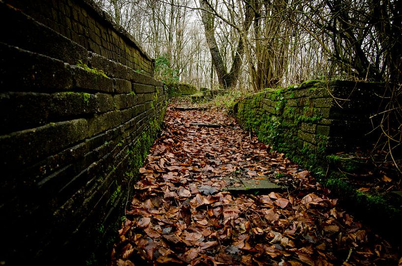 Herfstpad in Ecokathedraal von Lisette Breur