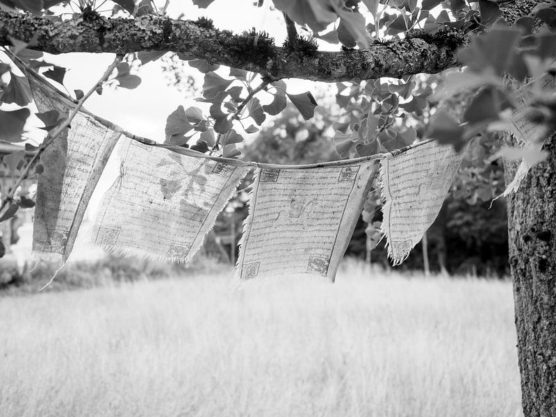 tibetaanse vlaggen van Delphine Kesteloot
