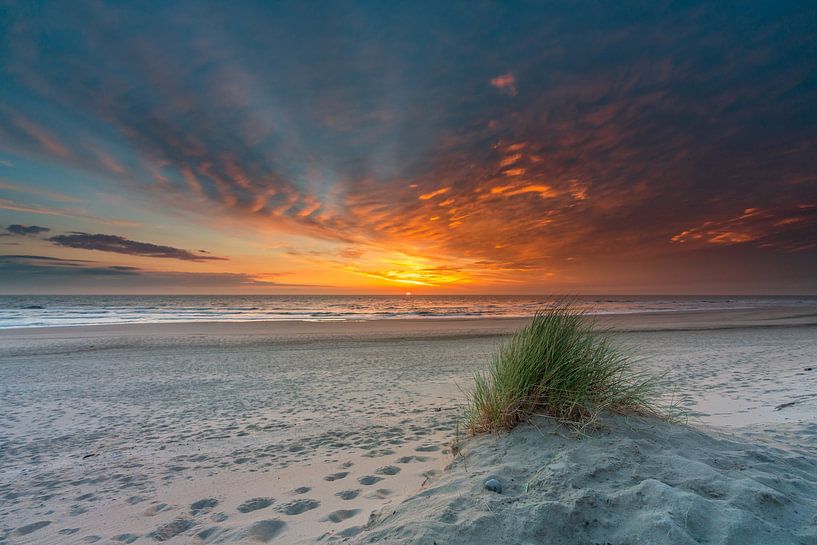 Texel Strand Paal 15 schöne Büschel von Strandhafer schönen Sonnenuntergang von Texel360Fotografie Richard Heerschap