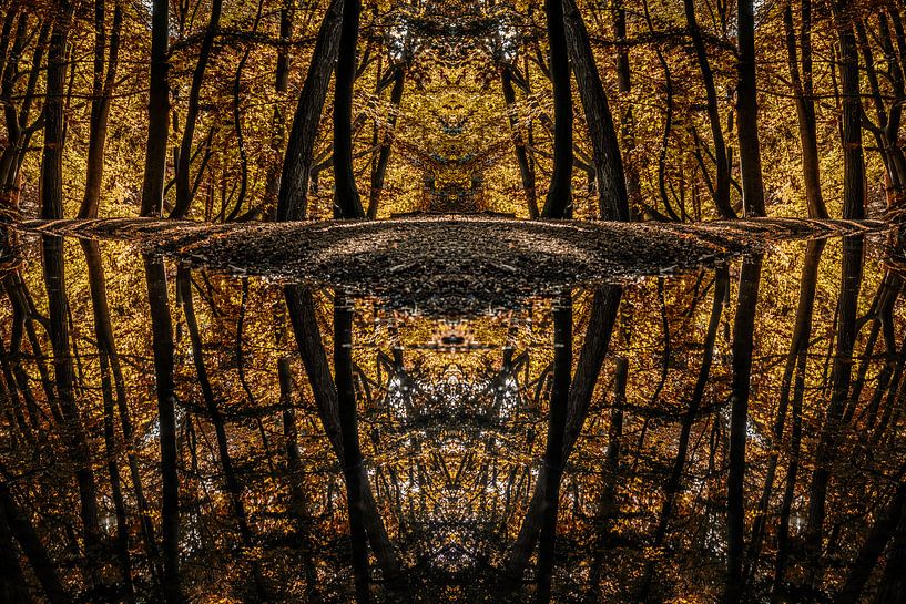 Mirrored reflections von Lex Schulte