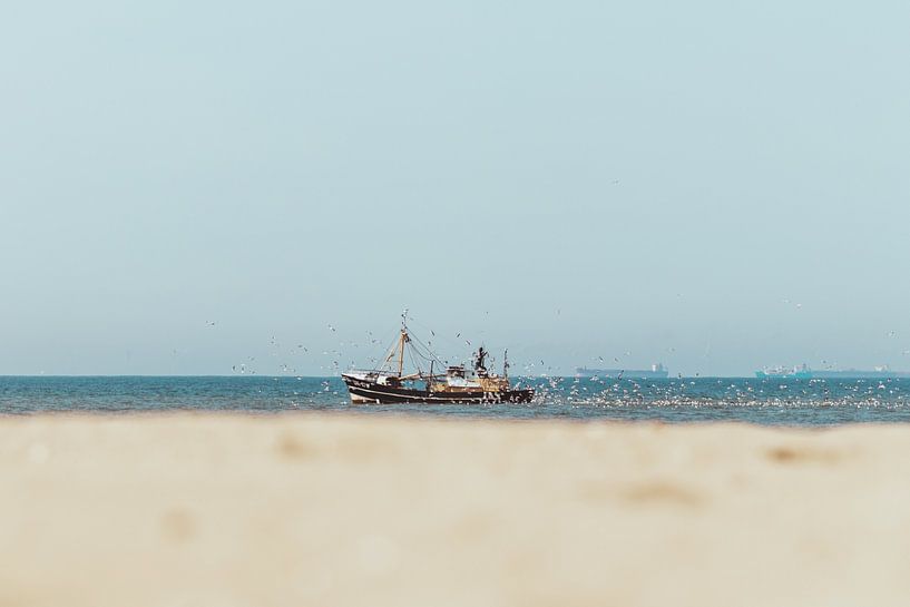 Fishing boat at sea with seagulls by Anne Zwagers
