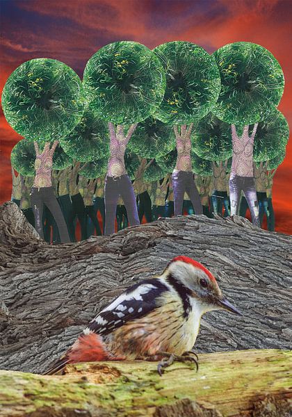 Burning Woods by Terra- Creative