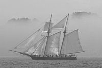 Tweemaster in the fog