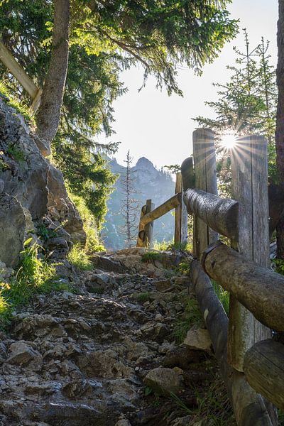 Sentier de randonnée avec marches sur le chemin du Gimpelhaus. Vallée de Tannheim. par Daniel Pahmeier