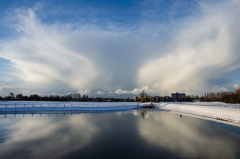 Vleugels in Heemskerk van Yvonne van der Meij