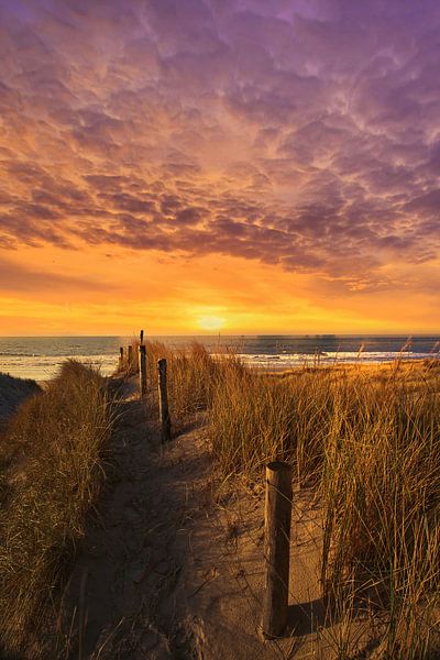 Beach entrance by peterheinspictures