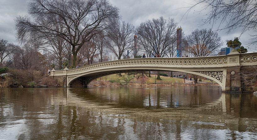 Die Bogenbrücke im Central Park, New York City Tageslicht Blick mit Reflexion im Wasser, Wolken, Bäu von Mohamed Abdelrazek
