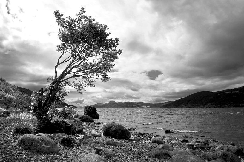 Loch Ness par Annick Cornu