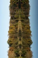 Beim Wandern in Oirschot mit dem Herbst