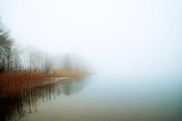 Misty Lake