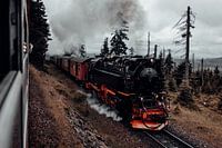 Harzer Schmalspurbahn auf dem Weg zum Brocken