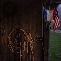 Land der magischen Pferde