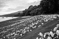 Lava sand on Sulawesi