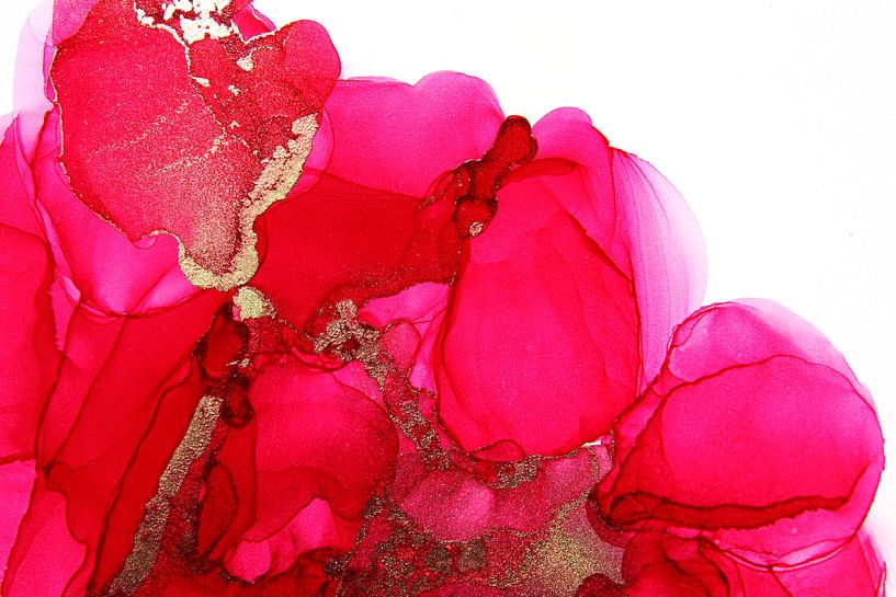 Nuages ​​roses par Joke Gorter