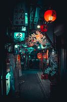 Street with restaurants and lanterns in Shinjuku