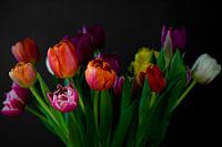 Un beau bouquet de tulipes.