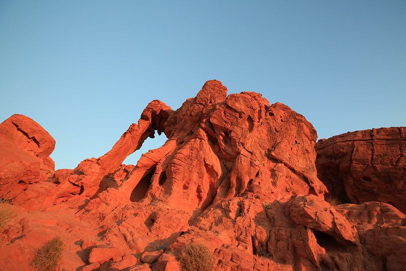 Elephant Rock in Valley of Fire State Park, USA. Valley of Fire State Park is the oldest state park  by Frank Fichtmüller