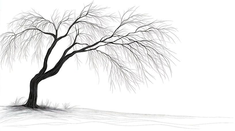 Lone tree on a hill against a white background by Frank Heinz