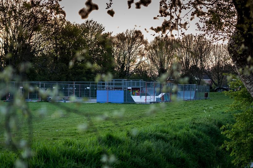 Levensgevaarlijk om te skaten van Gwendolyn Pieters