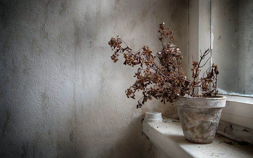 Dry von Photography by J