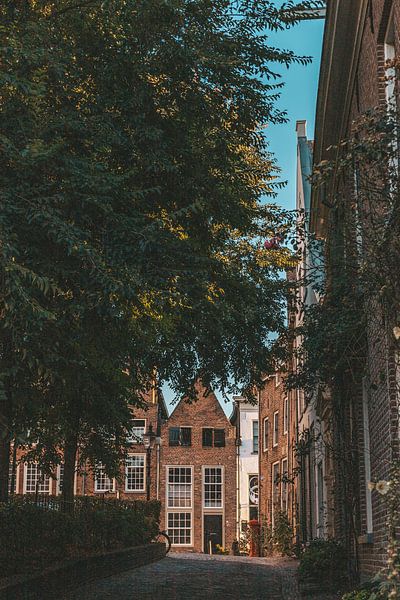 Stadtzentrum Deventer von Tessa in Focus