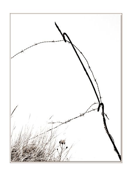 Oude prikkeldraad. von Wilfred Roelofs