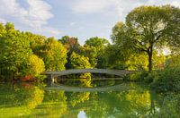 Bow Bridge Central Park - New York City (USA)