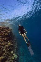 Freediving next to the reef