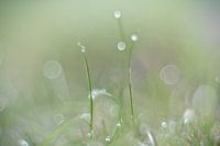 Change of perspective